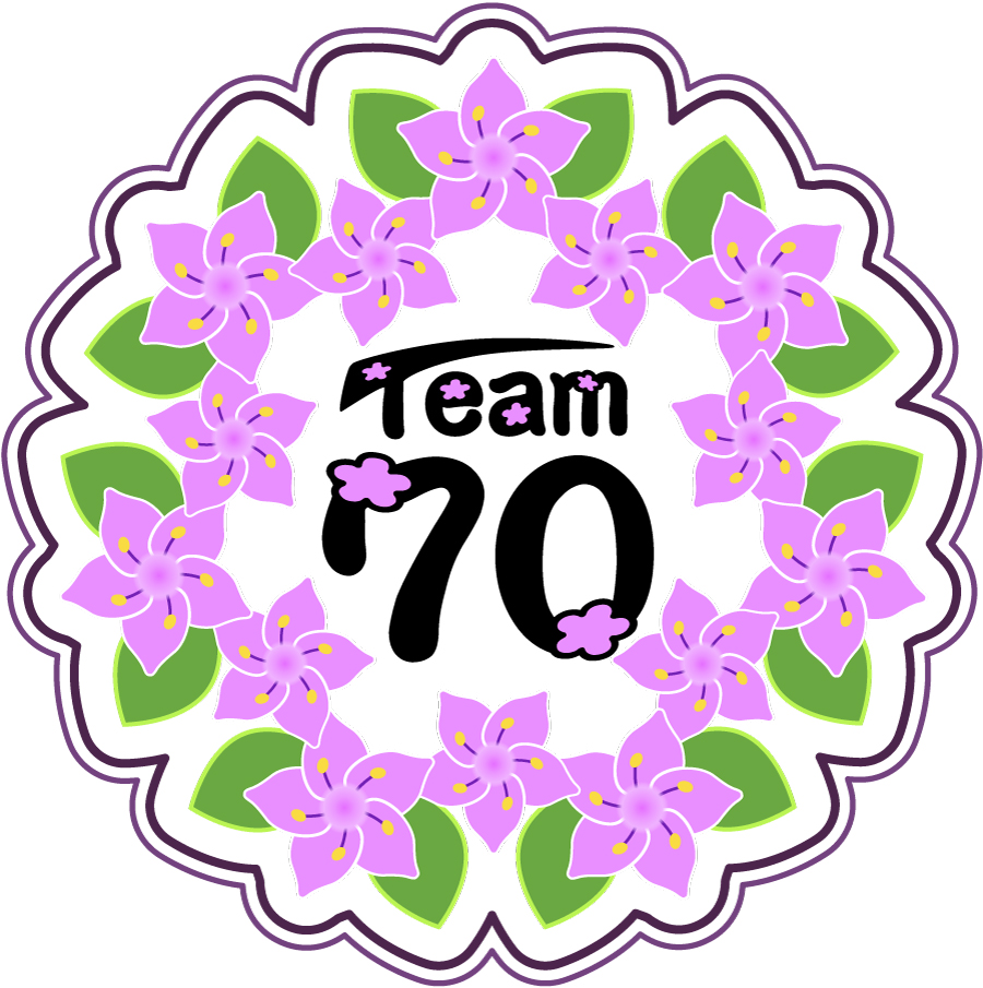 プロジェクトTeam70